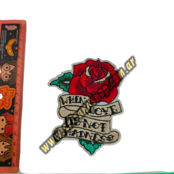 Aplique Termoadhesivo