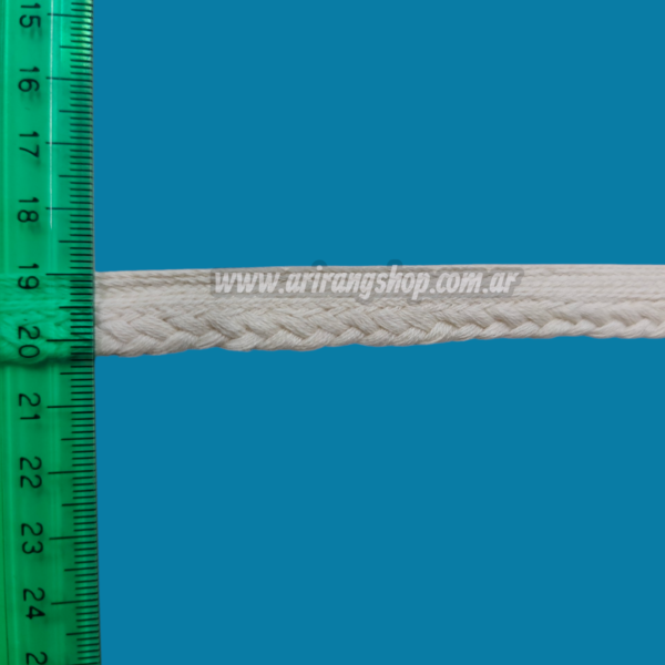 Puntilla algodon